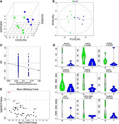 Norcholic Acid Promotes Tumor Progression and Immune Escape by Regulating Farnesoid X Receptor in Hepatocellular Carcinoma